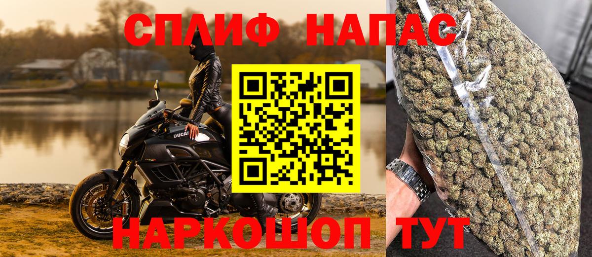 Канабис сатива Оренбург